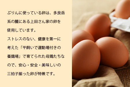 【新感覚!!】そばの実をかけて食べるぷりん 2種 合計12個【売切必至!!かしま自然農園のこだわりが詰まった人気のプリン】「ザクッ！とろっ！甘じょっぱい！」「ザクッ！とろっ！香ばしい！」蕎麦の実プリン