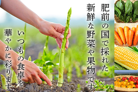 B-306 肥前の国の農産物大満足セット