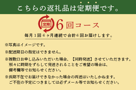 H-10  【6ヶ月お届け】肥前の国の農産物大満足定期便