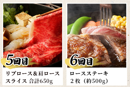 【初回は1月スタート】【定期便6回】佐賀牛 食べ比べ 定期便 6ヶ月 6ヵ月 焼肉 焼き肉 すきやき すき焼き しゃぶしゃぶ サイコロステーキ ステーキ L-39