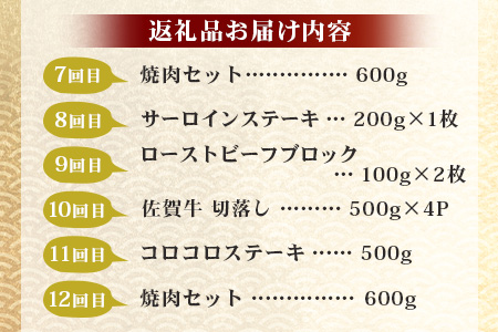 【定期便12回】佐賀牛 食べ比べ 定期便 モモスライス 肩ロース サーロインステーキ 切り落し ローストビーフ 焼肉 サイコロステーキ モモブロック V-45