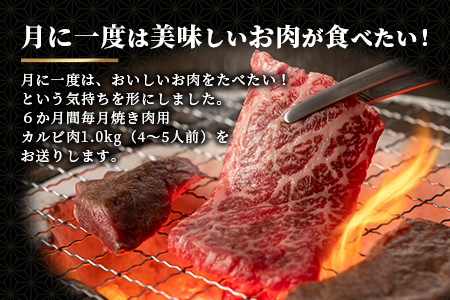 佐賀牛　もりもりカルビ肉（焼き肉用）定期便６回コース　総重量６kg