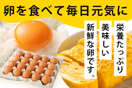 【定期便 2回】平飼い卵「うみとやまとこっこ」上田養鶏場 たまご40個 × 2ヶ月【合計80個】佐賀県鹿島産 卵 タマゴ D-200 40個 × 2ヶ月【合計80個】