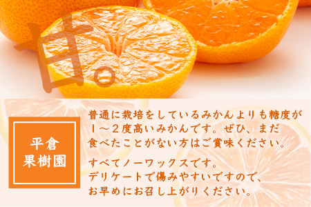 【１２月～１月上旬お届け】鹿島みかん 根域制限栽培一口みかん 約５.５ｋｇ A-178
