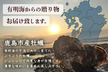 【先行予約】有明海産 すみのえ牡蠣（養殖・加熱用）殻付き 3kg | 全国牡蠣-1グランプリ銀賞受賞 | 生産者直送【11月中旬頃から発送予定】新鮮・美味しい・濃厚な焼き牡蠣や蒸し牡蠣に最適！クリーミー 旬 旨味 グルメ 佐賀県 鹿島市 人気 C-114