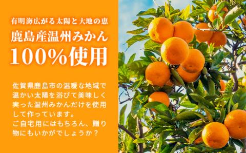 【予約受付】100% 生搾り ストレートジュース 鹿島市産 温州みかん みかんジュース 500ml×合計4本 佐賀県 鹿島市 B-540