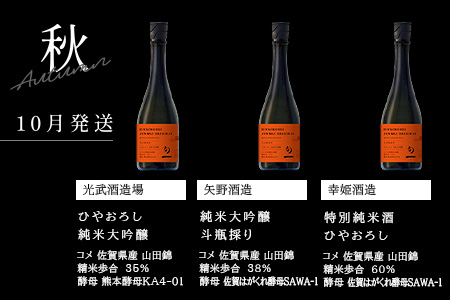【定期便 4回配送】酒どころ鹿島 旬の日本酒定期便「旬一（しゅんのはじまり）」合計12本 酒 日本酒 純米大吟醸 純米 生原酒 純米吟醸 特別純米酒 無濾過生 光武酒造 矢野酒造 幸姫酒造 O-3