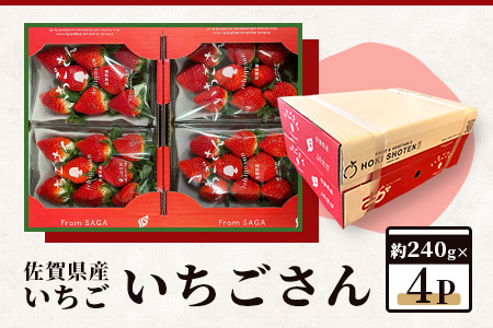 【予約受付】佐賀県産いちご 「いちごさん」 約240ｇ×4パック B-465