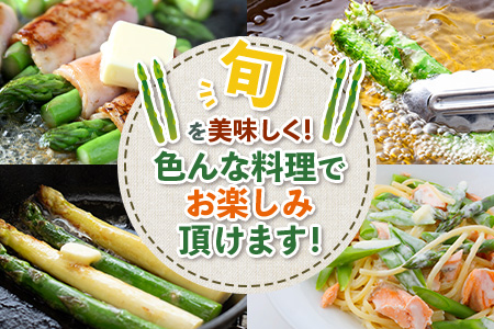 新鮮朝獲れ！！鹿島市産 アスパラガス 合計500g 【美味しい野菜で彩を】アスパラ 野菜 やさい 九州 国産 佐賀　6601611 B-854