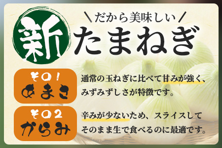 甘～い！新鮮！新たまねぎ 約5kg (MLサイズ）★大自然育ち【2025年4月より発送】生産者直送！タマネギ 玉葱 新タマ 新玉ねぎ サラダ 惣菜 お料理 ストック 箱買 美味しい 甘い 常備野菜 佐賀県 鹿島市産 人気 送料無料 A-180