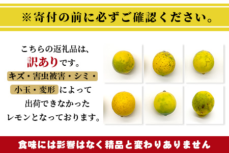 【訳あり】【先行予約】【産地直送】【農家直送】佐賀県鹿島市産 マイヤーレモン 5kg サイズ混合 酸味 美味しい お酒 生絞り 料理 お菓子 家庭用 【９月～2月頃まで配送】 A-191