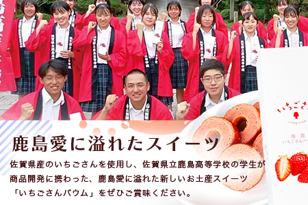 佐賀いちごさんバウム 5個入り 3箱 合計15個 バウムクーヘン バームクーヘン 焼菓子 スイーツ お菓子 佐賀 鹿島 九州 ご当地スイーツ A-193