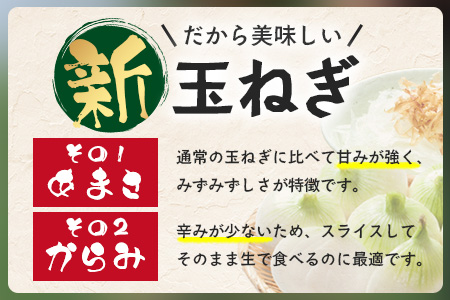 【予約受付】鹿島市産 新玉ねぎ 合計5kg A-207 たまねぎ 玉葱 サラダ 料理【2026年4月中旬より順次発送】