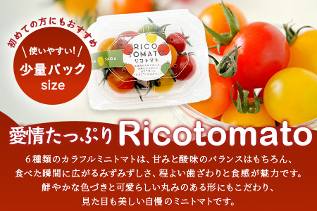 【先行予約】 カラフルミニトマト 【少量パック】 120gx3p　たにぐちファーム カラフルミニトマト 360g とりこになるトマト 野菜 とまと トマト リコピン 佐賀産 佐賀県 鹿島市　A-211 カラフルミニトマト 【少量パック】 120gx3p