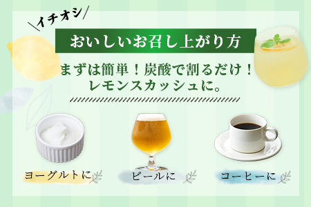 A-97　宝韶寿レモンのレモンシロップ（レモンピール入り）8袋