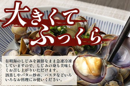 AA-18 冷凍シジミ１kg（500g×2袋）