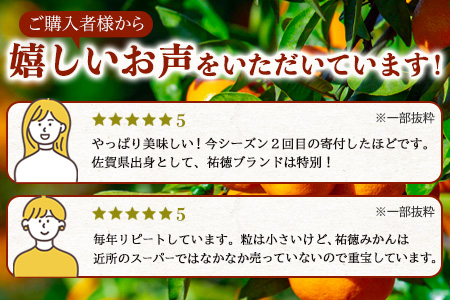 B-100 【数量限定】みかん 約3kg 化粧箱入り 祐徳みかん | ふるさと納税 温州みかん フルーツ 果物 ギフト 贈答 ミカン 蜜柑 柑橘 くだもの 果実 国産 佐賀県 鹿島市 ふるさと 人気 送料無料 【10月下旬～12月頃発送予定】