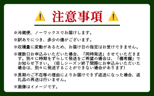 B-127  希少な国産レモン【宝韶寿レモン】訳アリ　約2kg（サイズ混合）【5月中旬より順次発送予定】柑橘 檸檬 ご自宅用 お菓子 料理 お酒 希少品種 佐賀県鹿島市 送料無料