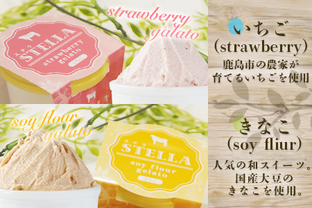 B-30 牧場直送！食べ比べ|しぼりたて生乳|極上ジェラートSTELLA8個|120g×8個|ミルク 抹茶 いちご きなこ4種×2個| 厳選素材 アイス プレゼント 贈り物 お中元 お歳暮 ご自宅用 美味しい贅沢 絶品 上質 佐賀県 鹿島市 冷凍 送料無料