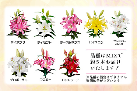 【生産者直送】高レビュー5.0 幸せと笑顔を届けるオリエンタルリリィ ユリ 百合 花 切り花 フラワー 艶やか 美しい 華やか 可憐 鮮やか 長持ち 強い 有機肥料 自然 人気 ラッピング プレゼント 贈り物 贈答 佐賀県 鹿島市 送料無料 B-313