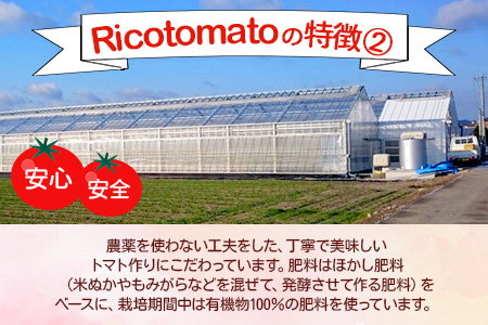 【先行予約】 たにぐちファーム 完熟ミニトマト 約1kg 『Ricotomato とりこになるトマト』 B-324