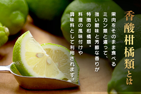 B-366 香酸柑橘類セット （リスボンレモン・キノス・げんこう・ライム）【約5kg 】メディアも注目の柑橘類の名人直送！かんきつ 柑橘 檸檬 れもん レモン 木酢 げんこう 薬味風味付け 国産 九州産 鹿島市産 佐賀県 鹿島市