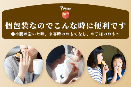 B-413　窯出しアップルパイ９個入り