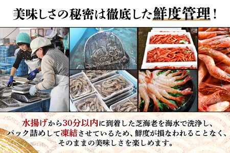 B-421 《受付再開》冷凍えびセット(芝えび1kg・むき甘えび20尾×2）
