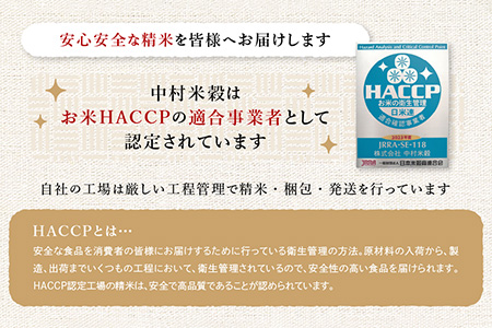 夢しずく 【新米】令和7年産 佐賀県産 10kg 玄米【特A評価獲得品種】B-44 玄米【10kg】