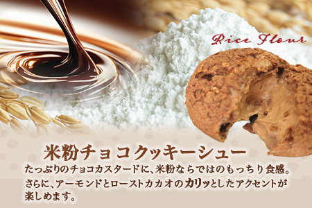 B-480　米粉のクッキーシューと米粉のチョコクッキーシュー10個詰め合わせ　【バレンタイン・ホワイトデー対応可】