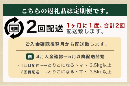 【先行予約】 たにぐちファーム とりこになるトマト 【3.5kg以上×2回定期便】【2025年12月から出荷】 Ricotomato トマト B-508