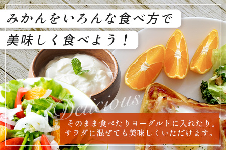 ＼農家直送＆鮮度抜群！／収穫後3日以内発送・松本農園の温州みかん 約5kg｜有明海の潮風で育った鹿島産みかん｜フレッシュ｜佐賀県鹿島市 送料無料 B-530