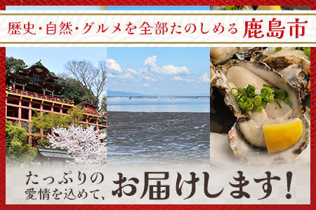 【駅長厳選】道の駅「かしま」厳選おたのしみ詰め合わせセット【福袋】