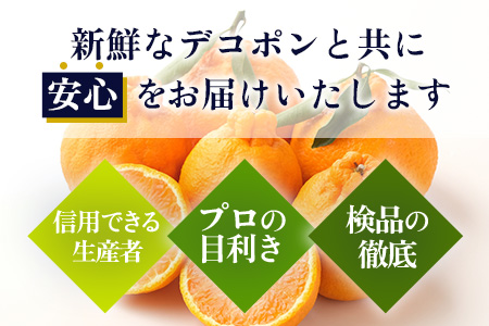 予約受付 基準クリアの高級柑橘【デコポン】約5kg 不知火 しらぬい でこぽん みかん 蜜柑 ミカン オレンジ 柑橘 フルーツ 果物 贈り物 贈答 プレゼント 高級 ブランド 限定 ギフト B-672