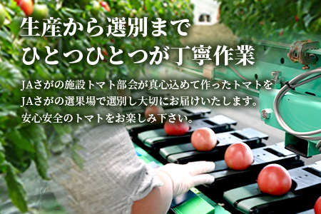 佐賀県農業協同組合 施設トマト部会 佐賀県産トマト約4kg【3月上旬～5月下旬随時出荷予定】 JAトマト [野菜 トマト 新鮮 サラダ 生野菜 とまと栄養 おすすめ 送料無料]B-805