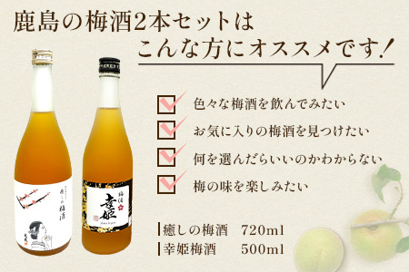 【梅酒セット】鹿島の梅酒2本セット 【光武 癒しの梅酒 720ml 1本】・【幸姫梅酒 500ml 1本】[梅酒 うめ酒 セット 梅酒セット 2本 お酒 酒 梅 梅果肉 すっきり 酸味 おすすめ 人気 送料無料] B-811