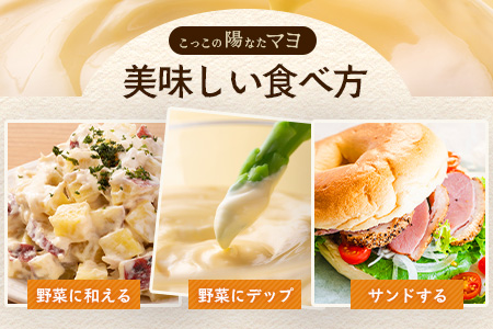 ＼濃厚卵のマヨネーズ／瓶詰め マヨネーズ 3本セット | 上田養鶏場のこっこの陽なたマヨ 170g | マヨネーズ マヨ 調味料 たまご 平飼い お料理 安心 安全 玉子 サラダ ディップ ポテトサラダ ドレッシング 送料無料　B-812