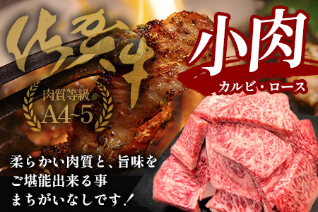 佐賀牛 焼肉 セット 小肉 500g ( カルビ ロース ) 黒毛和牛 詰め合わせ 焼肉セット B-840