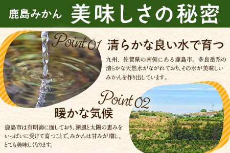 温州みかん 5kg　B-841