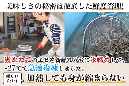 佐賀県有明海産 天然芝海老むき身(加熱用) 500g(100g×5袋）｜海老 エビ 剥き 真海老 国産 加熱用 使い切り 水洗い不要 簡単調理 ストック 主婦に最適 佐賀県鹿島市 人気 送料無料　B-846 天然芝海老むき身 500g(100g×5袋）加熱用