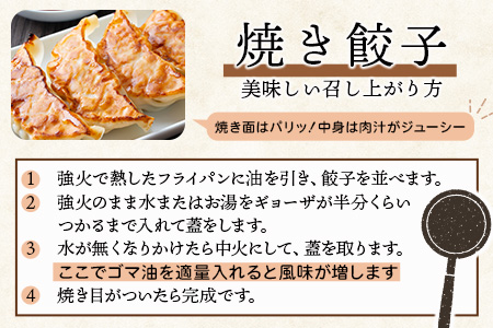 B-86　旨い！＼生活応援 たっぷり大容量／佐賀産牛 佐賀産豚の手作りギョーザ 【12ケ入り×5パック】‖合計60個 ‖ ストック 夕食 家族 ボリューム 冷凍 餃子 ぎょうざ おかず おすすめ 美味しい リピーター 人気