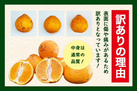 B-896【訳あり】 佐賀産不知火 約10kg（箱込み）佐賀県 鹿島市