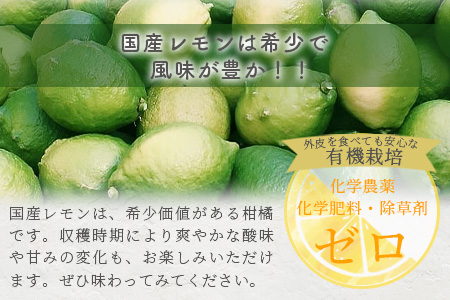国産 オーガニックレモン 約2.5kg レモン 檸檬 B-91