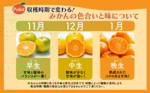 B-99  【先行予約】佐賀県鹿島産『温州みかん』約１１ｋｇ【11月中旬から順次発送】ふるさと納税 みかん ミカン 果物 フルーツ 果実 蜜柑 お取り寄せ ギフト 国産 佐賀県産 佐賀県 鹿島市 ふるさと 人気 送料無料 B-99