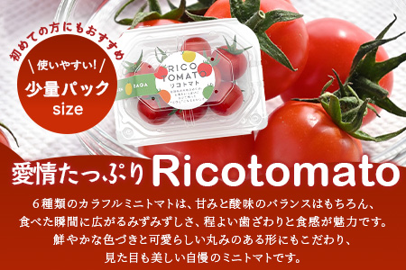 【2回定期便】【先行予約】完熟ミニトマト 【少量パック】120gx3p　たにぐちファーム 完熟ミニトマト 360g とりこになるトマト 野菜 とまと トマト リコピン 佐賀産 佐賀県 鹿島市　C-148 完熟ミニトマト 【2回定期便】