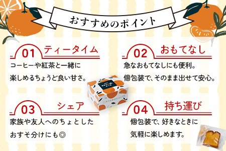 SAGAみかん、っ娘。ケーキ 6箱（合計24個入り）C-157