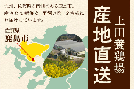 【定期便】たまご 佐賀鹿島産 平飼い初卵「うみとやまとこっこ」 上田養鶏場 たまご60個×3回 タマゴ 玉子D-117 60個×3回