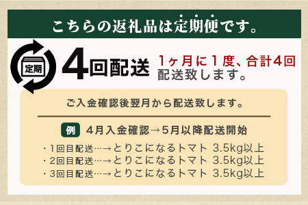 【先行予約】 たにぐちファーム とりこになるトマト 【3.5kg以上×4回定期便】【2025年12月から出荷】Ricotomato とりこになる トマト [定期便 野菜定期便 定期 野菜 トマト 新鮮 サラダ 生野菜 とまと おすすめ 送料無料] D-160