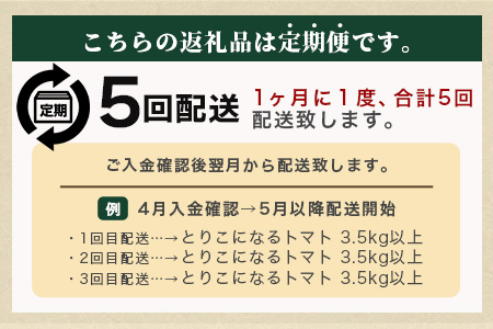 【先行予約】たにぐちファーム とりこになるトマト 【3.5kg以上×5回定期便】【2025年12月から出荷】 Ricotomato とりこになる トマト [定期便 野菜定期便 定期 野菜 トマト 新鮮 サラダ 生野菜 とまと おすすめ 送料無料] D-161