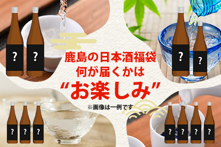 ＼訳あり×お楽しみ福袋！／ 熟成日本酒バラエティセット｜純米大吟醸・純米吟醸など数種類からお届け 清酒 飲み比べセット 佐賀県鹿島市 緊急応援 D-181